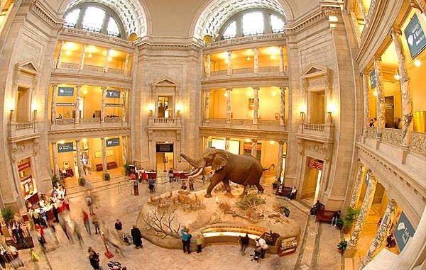 Picture of the Smithsonian Museum of Natural History 