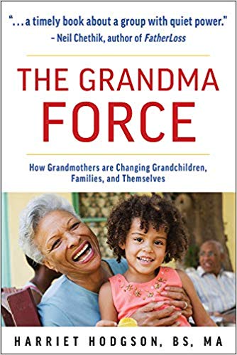 Book Cover of The Grandma Force